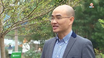 Biệt thự xanh Flamingo Đại Lải Resort - Không gian sống - Info TV 12/2/2017