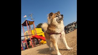 GoPro MAX 360°カメラ【go to 竹千代 】20210127 大牟田市にある公園のフリースペースへ