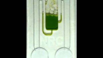 Active pneumatic control of centrifugal microfluidic flows for lab-on-a-chip applications