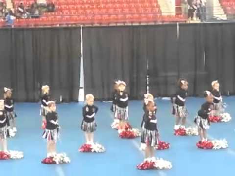 ycoa cheerleading