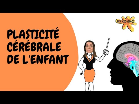 Plasticité cérébrale | 4 CLÉS POUR COMPRENDRE LE CERVEAU DE VOTRE ENFANT/ADO