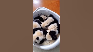 #القرآن_الكريم #holy_quran تلاوه هادئه