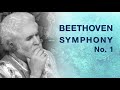 Beethoven - Symphony No. 1 | grand piano + digital orchestra