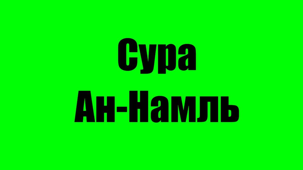 Сура ан намль. Сура АН-Намль 91-92.