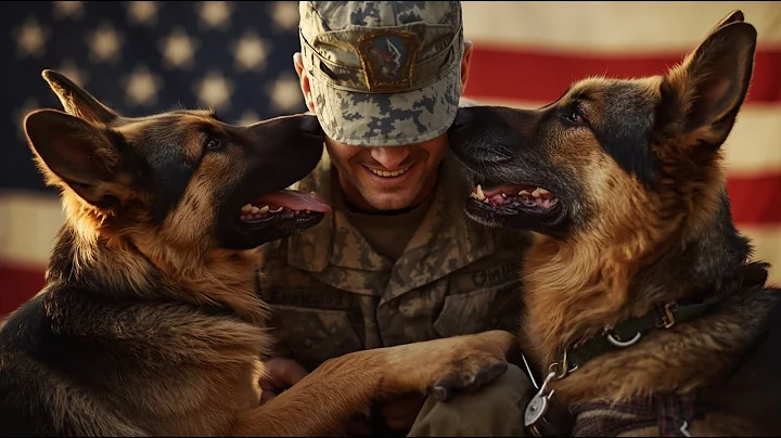 “Emotional Reunion: Dogs Welcome Home Their Long-Absent Soldier” ✅🇺🇸🐶#dog