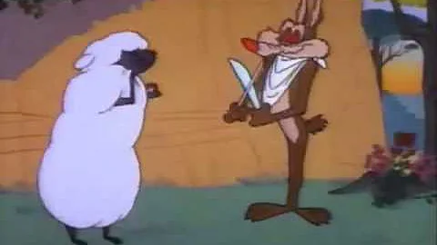 Quanto vive il coyote?