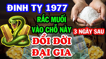 Chấn Động ĐỔI ĐỜI ĐẠI GIA, Tuổi Đinh Tỵ 1977 Đặt Muối Chỗ Này, 3 Ngày Sau Ăn Đậm Lộc Trời GIÀU TO
