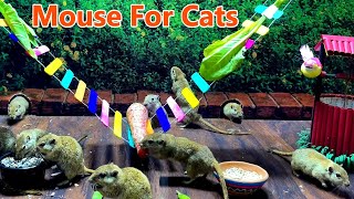 Cat TV | Mice for Cats to Watch 4K | Cat Games: Mouse in the Jerry Hole | 10 Hours UHD by Birder King Studio 240 views 1 month ago 10 hours