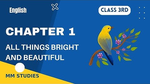 All Things Bright And Beautiful || Lesson 1 || Class 3rd || English || MVM Books || MM Studies