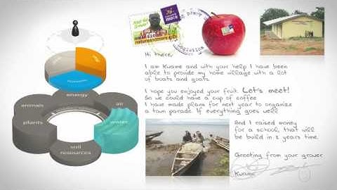 Prototype sustainable flower