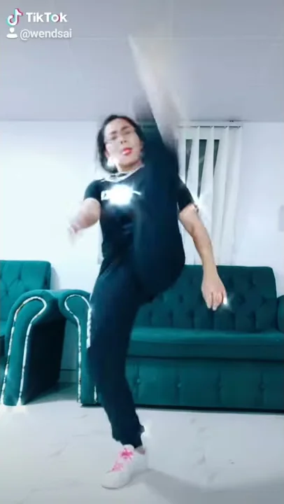 WAP by cardi b and megan stallion dance challenge on tiktok...