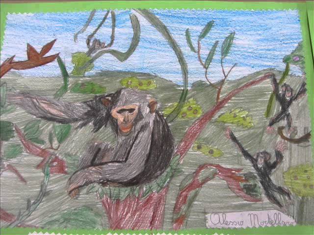 Lesson thumbnail
