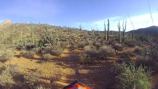 Baja 2018 Day 3:Bill Nichols @ sunset.
