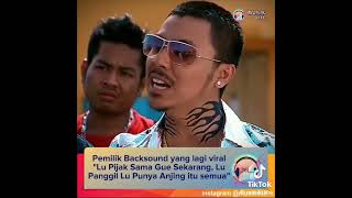 Kl Gangster Shark