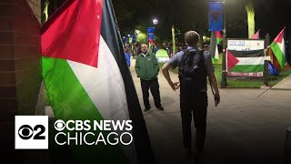 Police cracking down on Gaza protests on college campuses