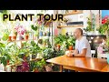 Join me on a relaxing tour of my plants