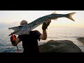 Compilation topwater barracuda feat @Spinning Inside