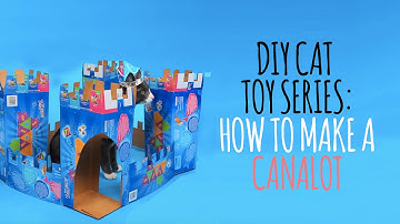 DIY Cat Toys - How to Make a Canalot
