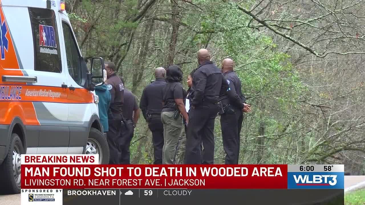 Man found shot, killed in wooded area in Jackson - YouTube