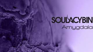 Information Soulacybin - Amygdala Guide