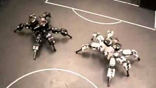 Combate entre arañas robóticas RoboBuilder RO BOTICA com