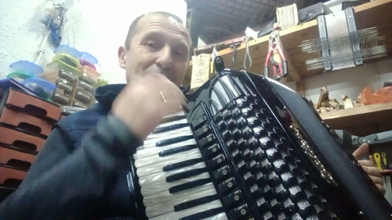 Servis harmonika Dane +38164 420 5721