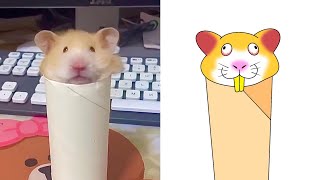 Funny Hamster Memes Compilation 2 - Funny Animals