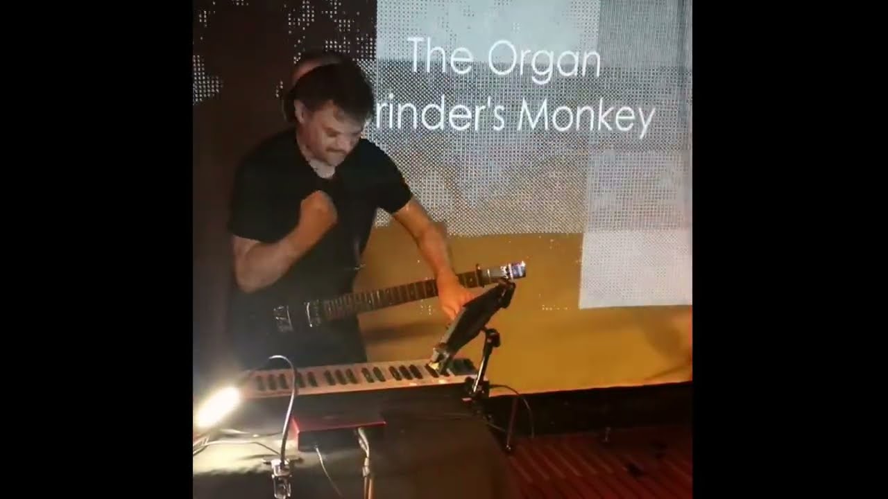 The Organ Grinder's Monkey live at Machine Learning (The Brunswick, 24/11/24)