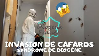Diogène France | UN APPARTEMENT INFESTÉ DE CAFARDS ! 😱 (extrême)