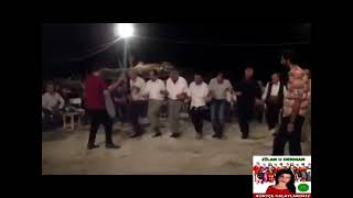 Zilan Derman Havar Şono Resimi