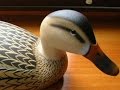 Decoy Carving, Hen Mallard, "Ward Style" Part 3 of 4