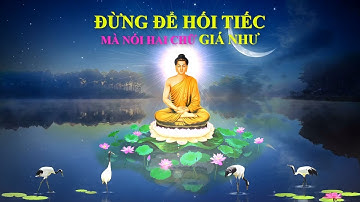 Ở ĐỜI CÁI GÌ CŨNG CO GIÁ CỦA NÓ! - Blog Radio