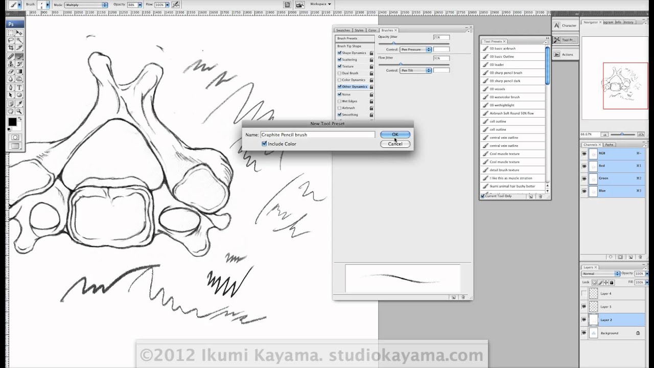 Tutorial for Scientific Illustrators Saving a custom brush