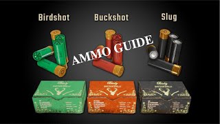 SCUM ammo guide birdshot,buckshot,slugshot