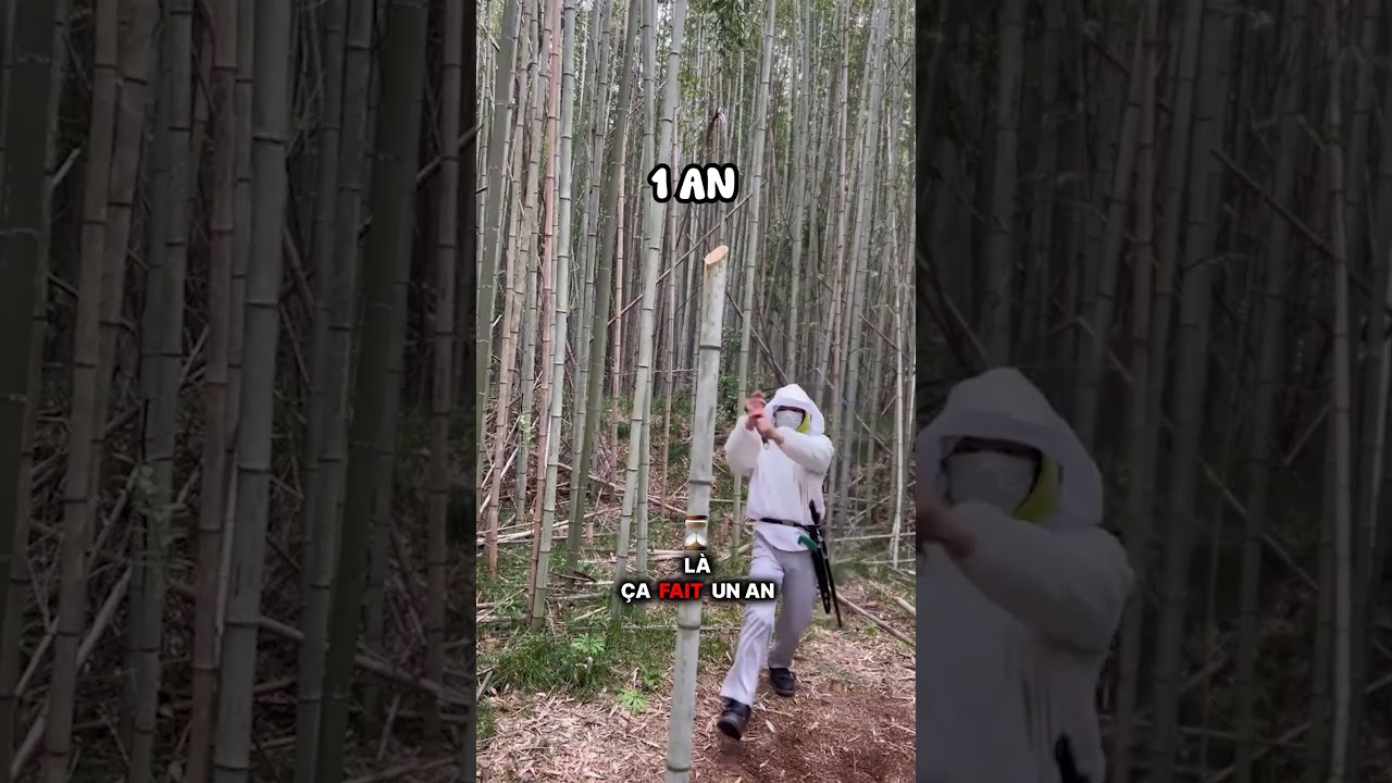 1 JOUR À 10 ANS DE MAITRÎSE