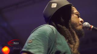 STEVEN & COCONUT TREEZ