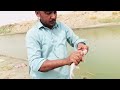 Big Singhara Fishing Hunting 🎏