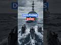 Iran is going to use Kamikaze Dolphins as Bombs against USA ships at Strait of Hormuz? #geopolitics