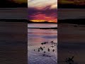 Mississippi River Reflections; Life, the Universe & EVERYTHING :
