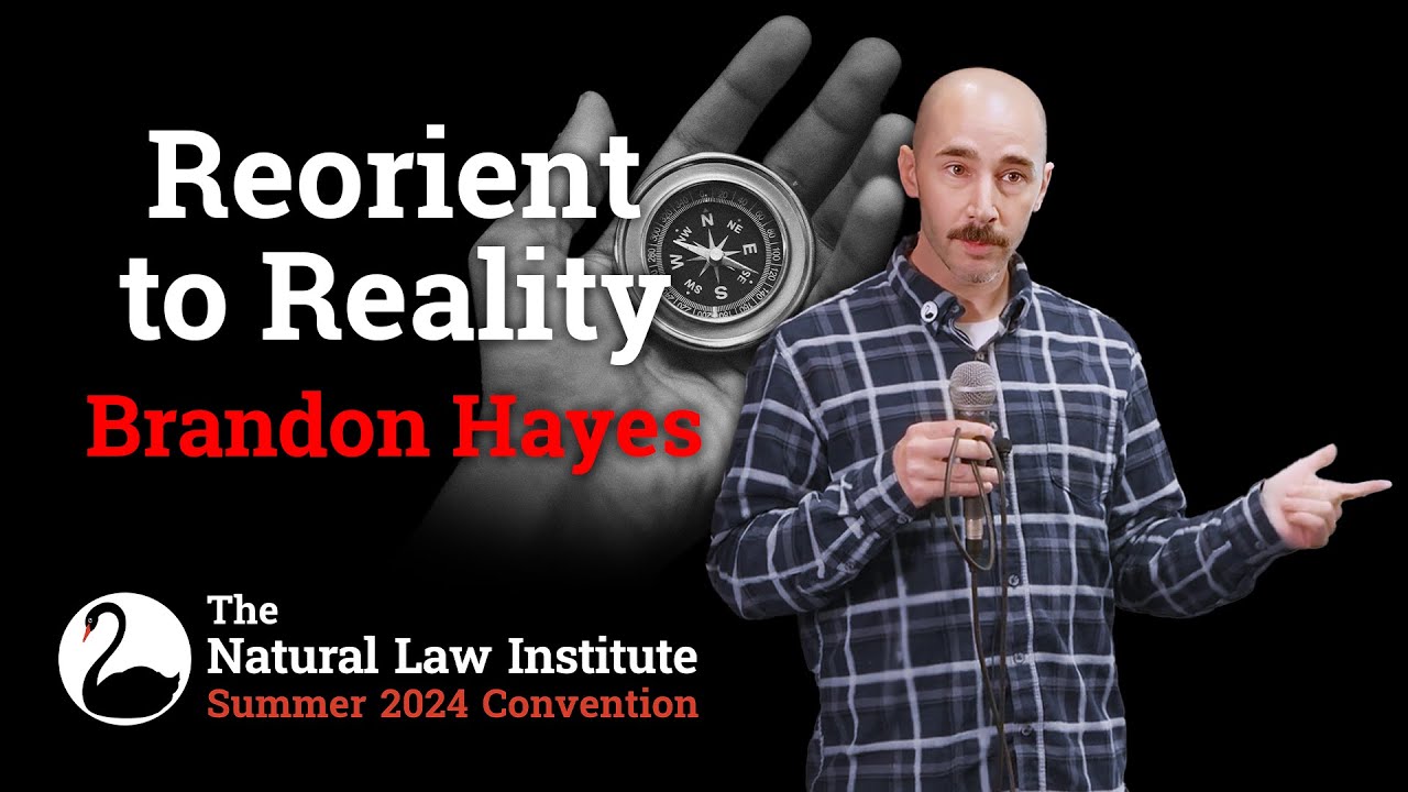 Переориентация на реальность - Брэндон Хейс