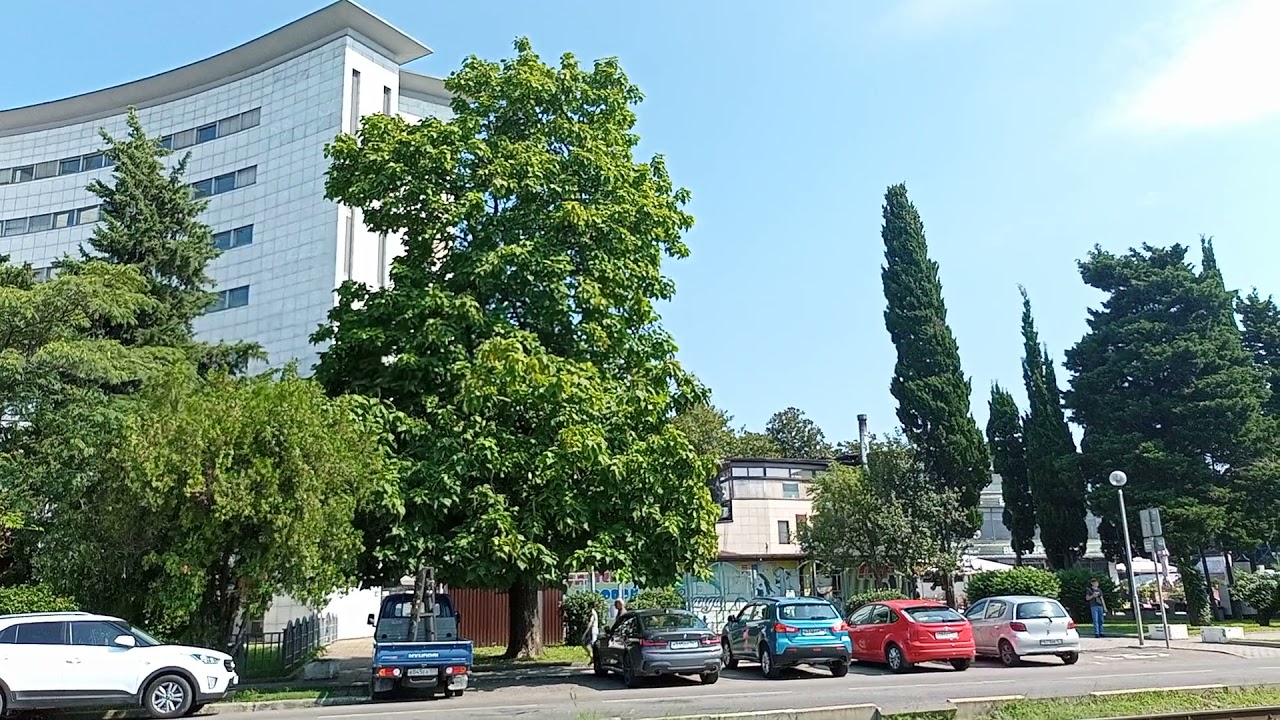 Волгодонск гостиница катальпа