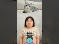 猫系YouTuber「もちまる日記」活動再開したのに登録者数が5万人減少！体調不良動画の炎上収まらず
