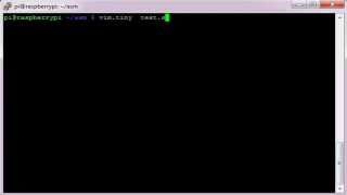 ARM Assembly - LDR and C Library Functions.