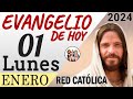 Evangelio de Hoy Lunes 01 de Enero de 2024 | REFLEXIÓN | Red Catolica