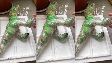 Băng bó cho khủng long phơi nắng nhiều ngày và kết quả quá chi là ưng luôn