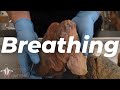 How Does Breathing Actually Work???