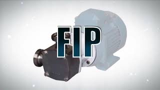 Jabsco Flexible Impeller Pump