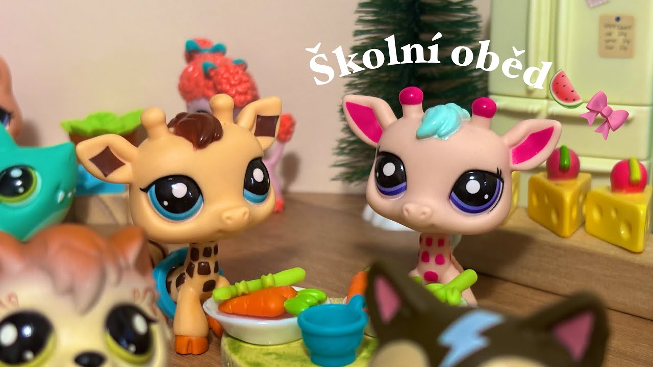 LPS školní oběd🍉🎀
