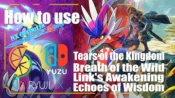 How To Use the TOTK Optimizer | 2025