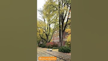 Foods Delivery Robots @ OSU #osu #deliveryrobot